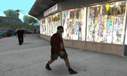 Vagabundo 02