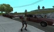 Vagabundo 03