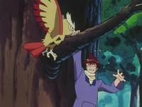 EP156 Noctowl usando picotazo