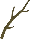 Willow branch detail