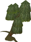 Willowent