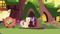Twilight before slamming house door in Fluttershy's face S1E01