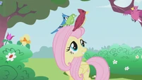 Fluttershy smiling with birds on her head S1E3