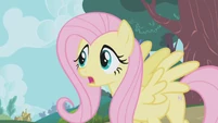 Fluttershy "Applejack, Winona, stop!" S1E04