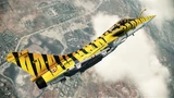 TIGER PATTERN II
