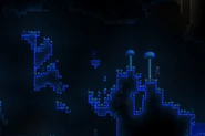 Glowing mushrooms
