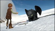 Toothless dog face