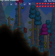 Hallowtrees