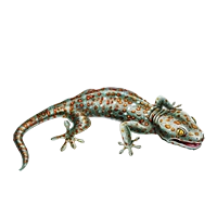 Huge item tokaygecko 01