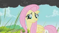 Fluttershy takes that as a yes S01E07
