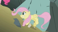 Fluttershy looses her footing S1E07