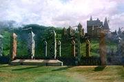 707px-Quidditch Pitch