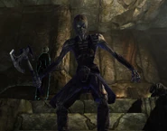 Draugr Fjori