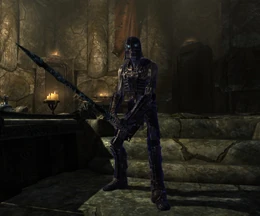 Draugr Holgeir
