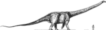 Argentinasaurus