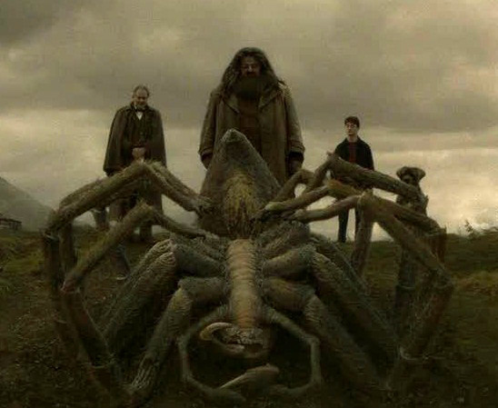 Aragog Harry Potter