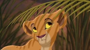 Lion2-disneyscreencaps.com-917