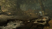 Lost knife Arena