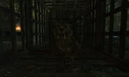 Lost Knife Kitty