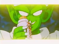 PiccoloDB4
