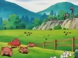 EP067 Pokémon en el corral (5)