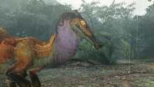 GreatFroggiSideViewLeft.png
