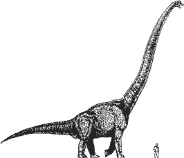 Sauropodeidon