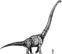 Sauropodeidon