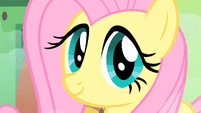Fluttershy smile S01E22