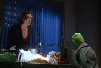 Kermit-Bitterman