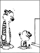 Tigercalvin