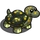 Spotted Turtle-icon