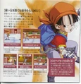 Pan Final Bout