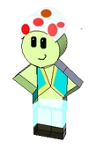 Toad mario pets