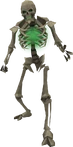 Basic skeleton