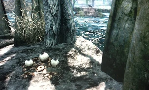 Swamp Fungal Pod
