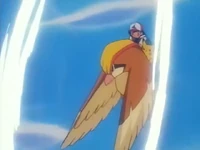 Ash Pidgeot Gust