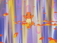 Ash Charmander Ember
