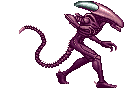 AVP ALIEN-A STAND