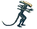 AVP ALIEN-D STAND