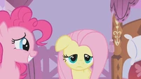Fluttershy ...nice S01E14