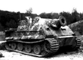 Sturmtiger IRL.jpg