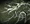 Gravemind1