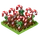 Candy Canes-icon