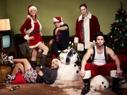 Sunny+xmas3