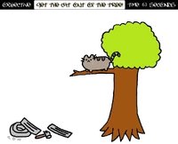 CatInTree