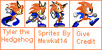 Tyler The Hedgehog Sprites by Mewkat14