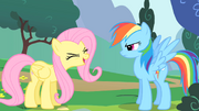 Fluttershy 2nd yay S01E16