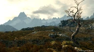 Tundra