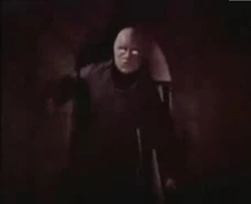 Morlock 1978
